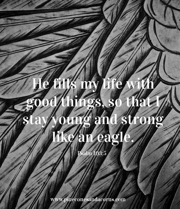 He fills my life with good things so that I may stay young and strong like an eagle. Psalm 103:5 on a black feather background.
