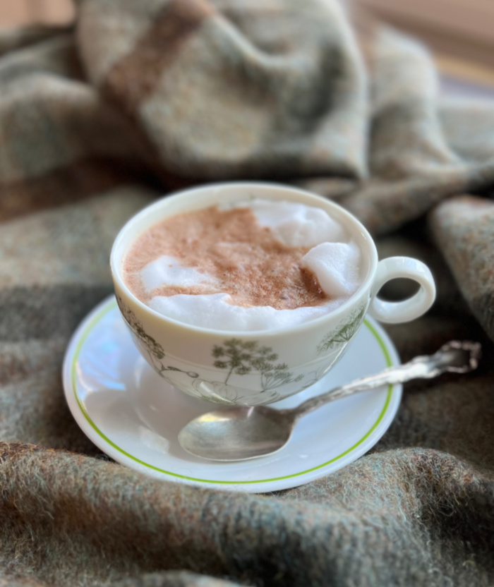 cup of hot chocolate witting on a green plaid blanket.