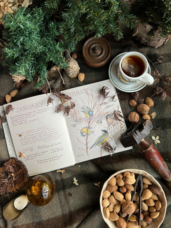 flatlay January with books and nuts