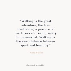 “Walking is the great adventure, the first meditation, a practice of heartiness and soul primary to humankind. Walking is the exact balance between spirit and humility.” – Gary Snyder