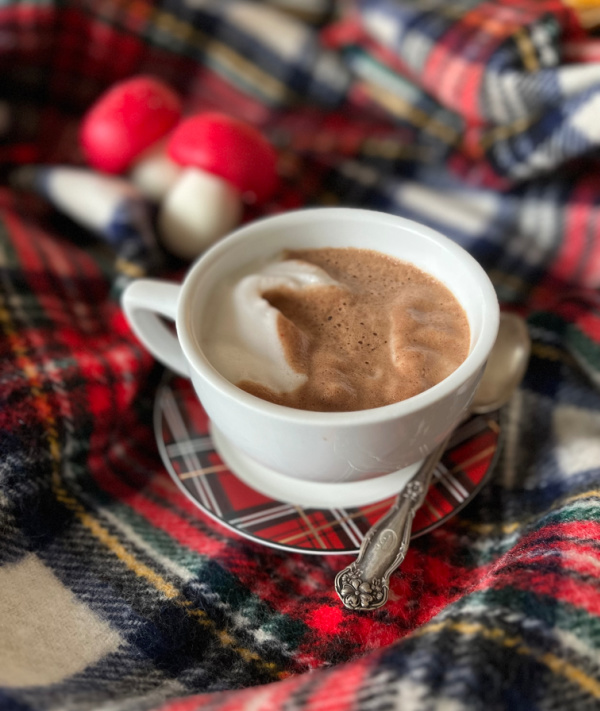 white cup of hot chocolate on a plaid blanket