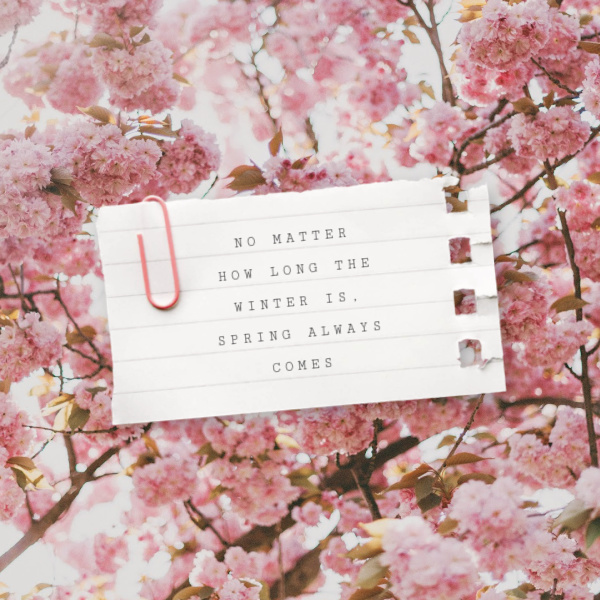 No matter how long the winter is. Spring always comes.