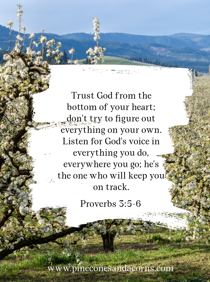 Proverbs 3 5:6 Trust God fro the bottom of your heart...