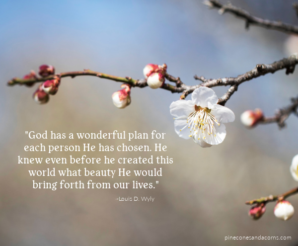 God has a wonderful plan for each person her has chosen.