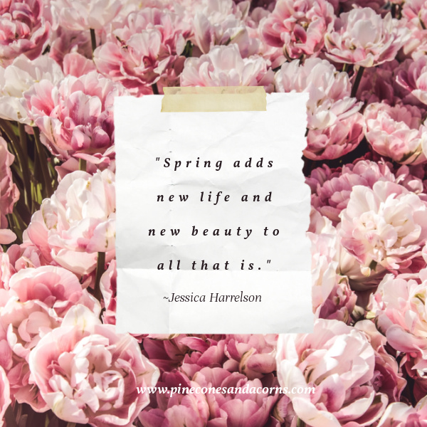  "Spring adds new life and new beauty to all that is." — Jessica Harrelson