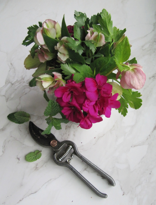 spring flowers in a jar with a pair of clippers next to it. 