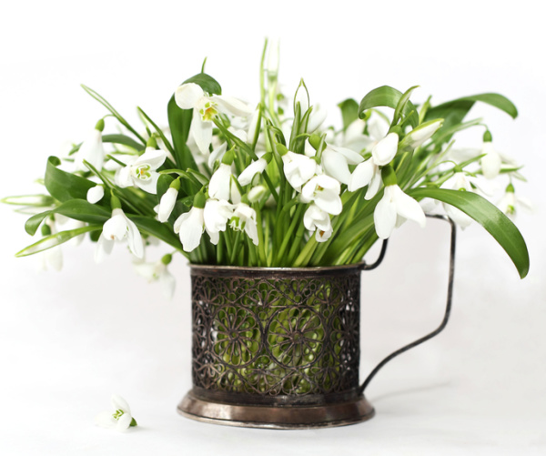 vintage silver cup of snow drops.
