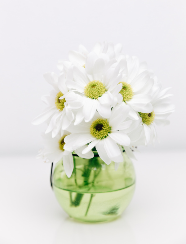 White daisies in a clear glass vase, simple and elegant.