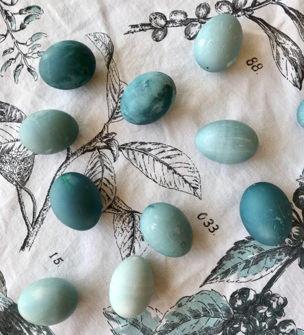 Naturally Dyed Blue Easter Eggs.