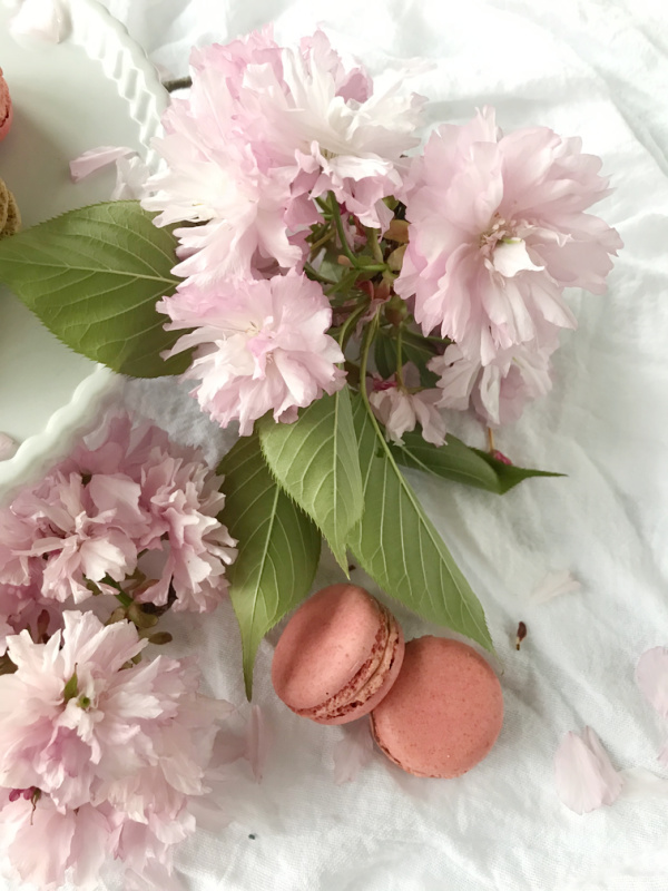 Cherry blossoms and 2 pink macaron cookies.