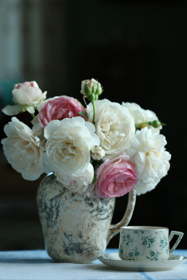 vintage tea cup and pink and white flowers in a vase.