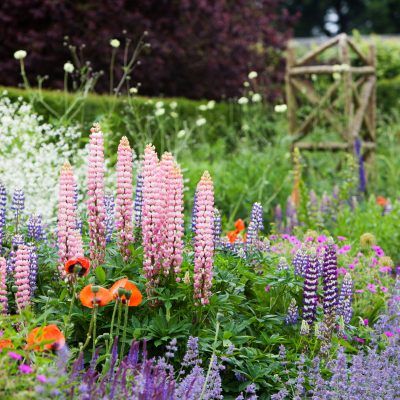 herbaceous flower garden.