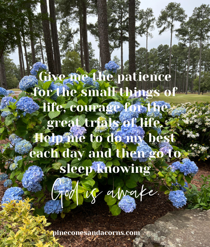 Bible Quote Give me the patience for the small things of life, courage for the great trials of life. Help me to do my best each day and then go to sleep knowing God is awake