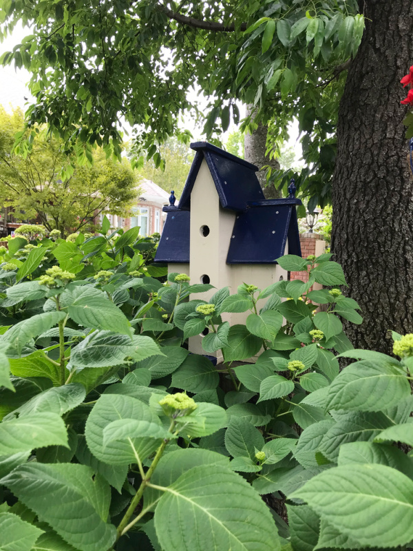 Birdhouse with a blue roof in a hedge of hydrangeas