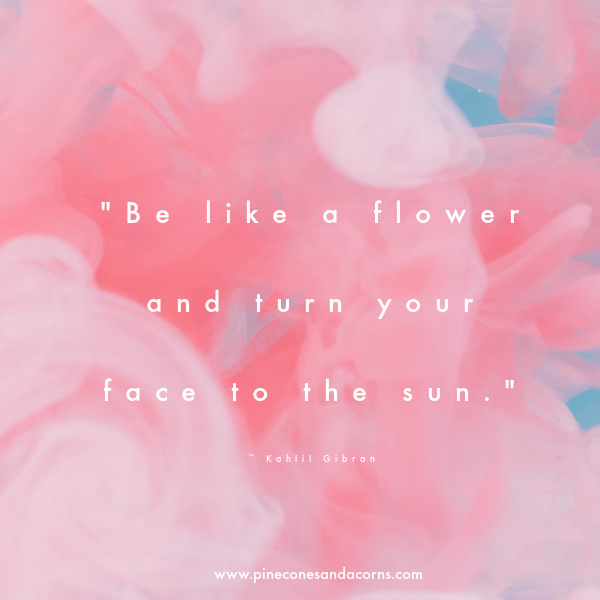 "Be like a flower and turn your face to the sun."