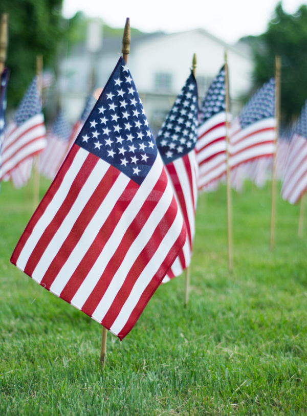 Mini-American Flags Memorial Day.