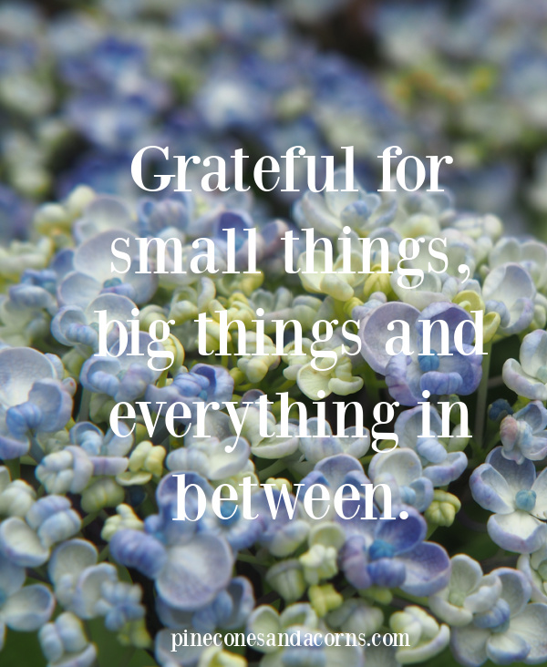 Quote-grateful for small things big things and everything in between overlayed on a photo of blue hydrangeas.