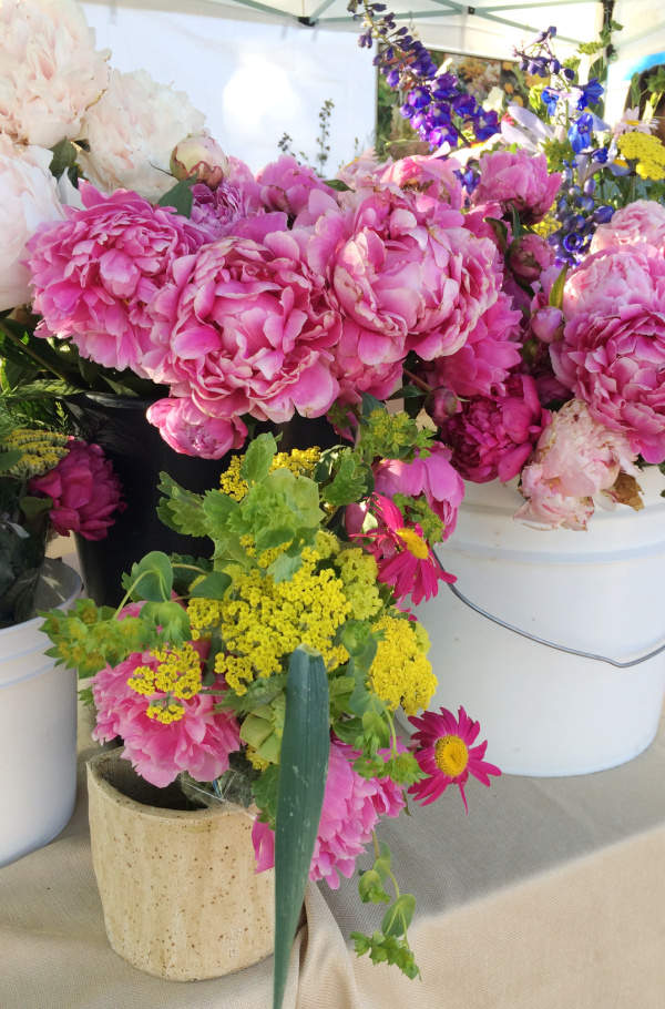 peonies in a white bucket at the farmers market.