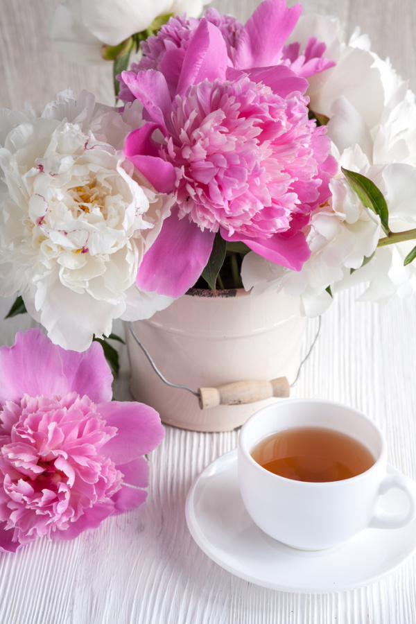 pink and white peonies and a white cup of tea in a white cup.