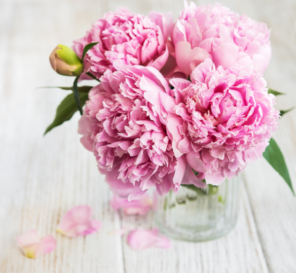 pink peonies in a glass vase.
