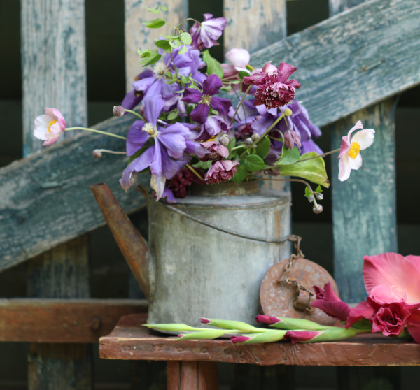 colorful purple spring flowers in a vintage teapot. 