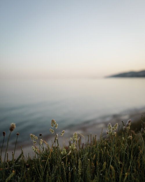 Beautiful view of the Dorset coast, UK. 