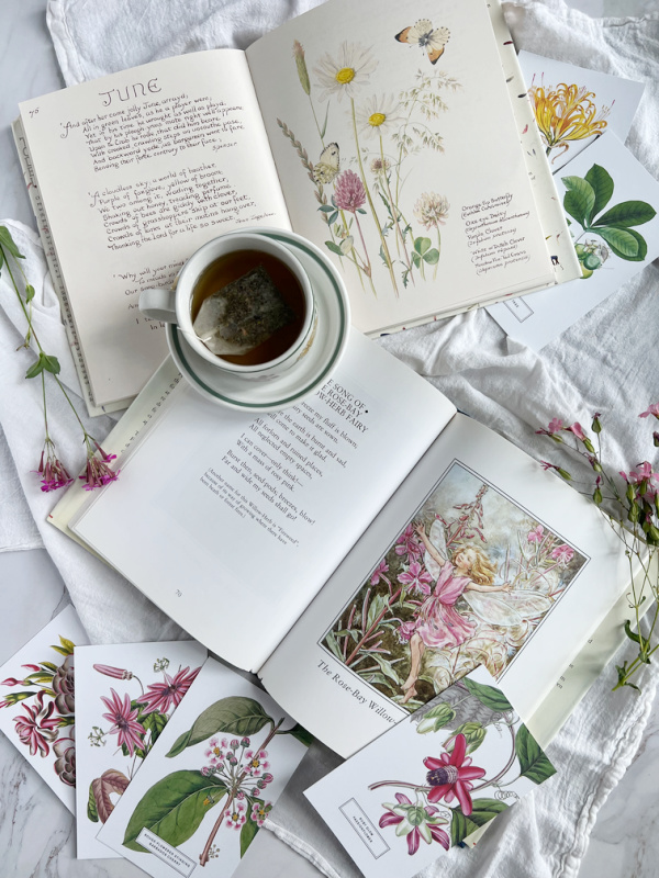 Flower Fairy Book and botanical post Cards flatlay.