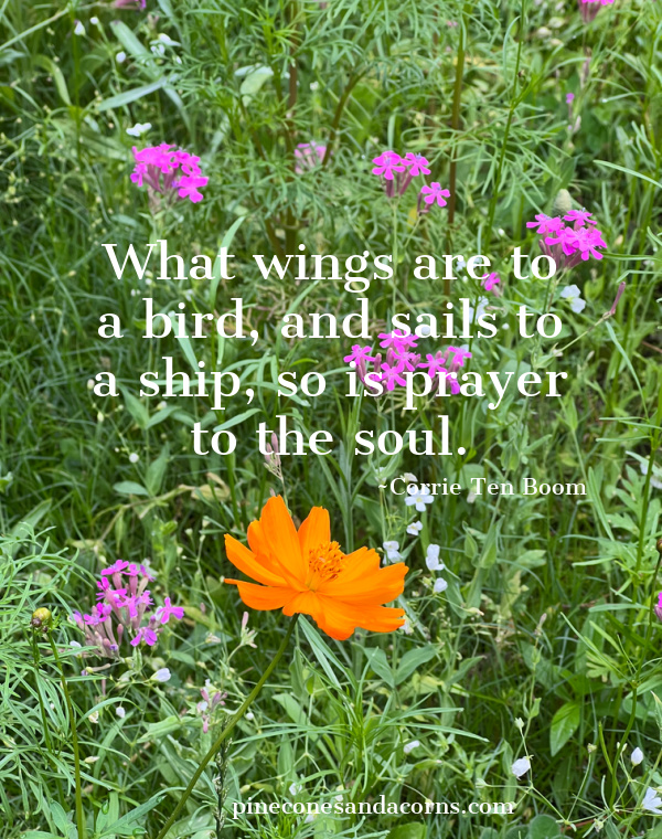 What wings are to a bird and sails to a ship so is prayer to the soul.