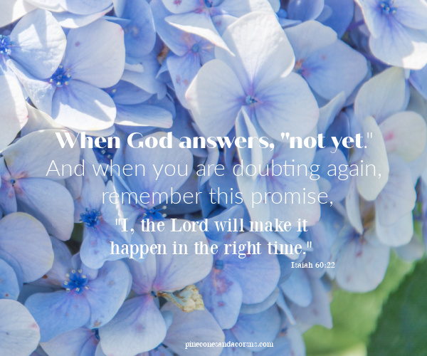 "I, the Lord will make it happen in the right time." Isaiah 60:22.