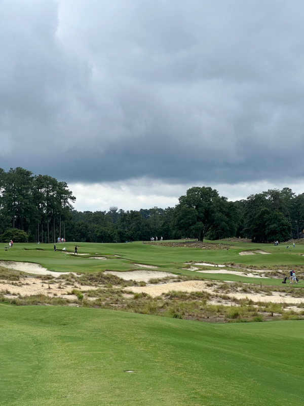 a stormy day at the golf course.