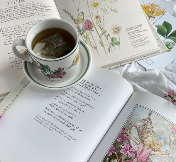 cup of tea on a saucer resting on top of 2 open books with whimsical fairies.