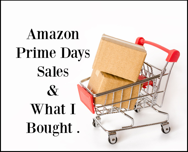 Amazon Prime Day Deals & What I Bought