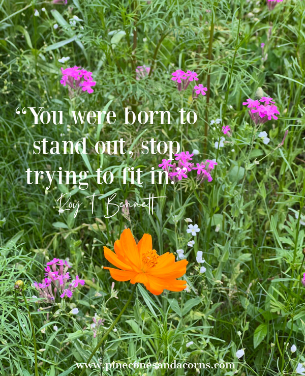 You were born to stand out, stop trying to fit in Roy T Bennett.