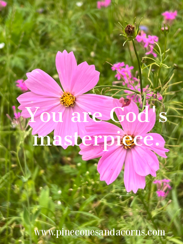 Quote-you are Gods masterpiece-silent Sunday overlay on 2 pink flowers in a field.
