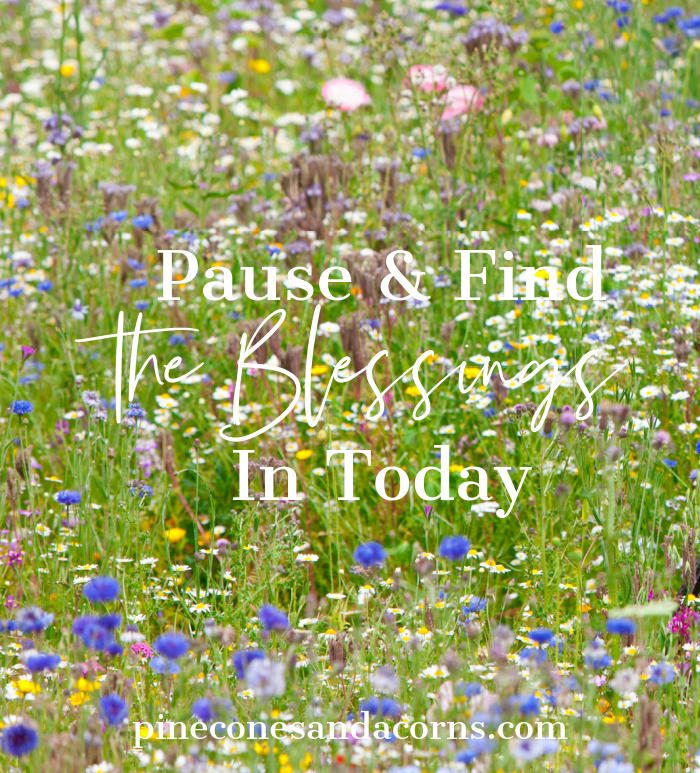 Pause and find the blessings in today!