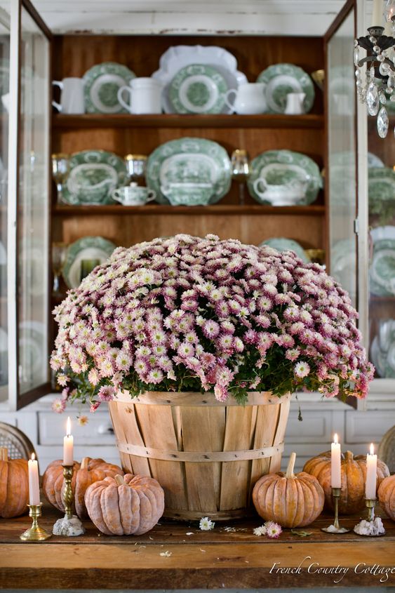 Courtney Allison French Country Cottage Fall Decor.
