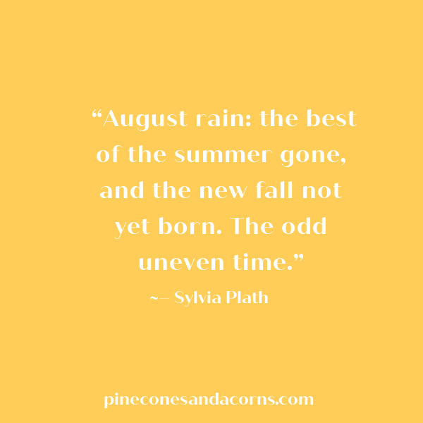 “August rain: the best of the summer gone, and the new fall not yet born. The odd uneven time.” — Sylvia Plath.