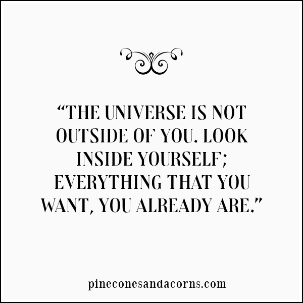 “The universe is not outside of you. Look inside yourself; everything that you want, you already are.”