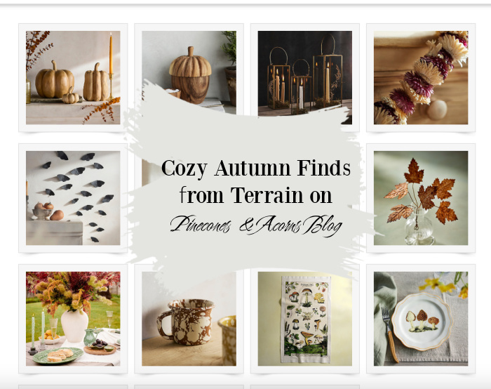 cozy Autumn finds from Terrain collage.