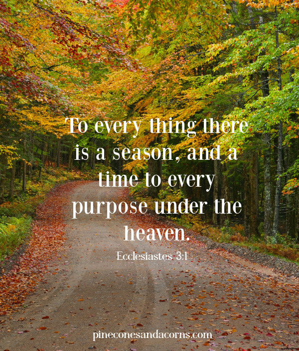 Ecclesiastes 3:1.