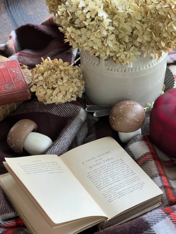 Fall Flatlay with book, mushrooms, hydrangeas,