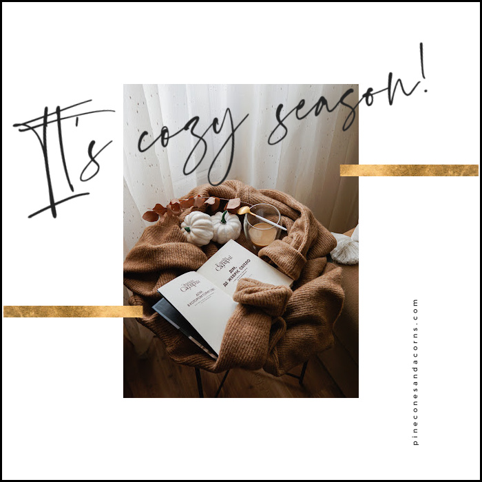It's cozy season text over a photo of books, blankets, tea and pumpkins.