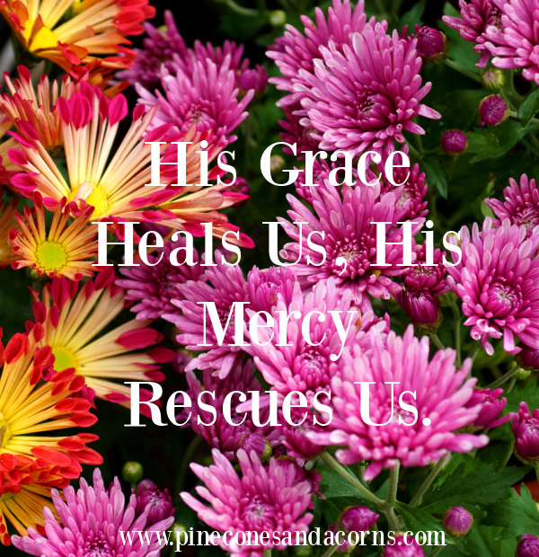 Quote, Bible His grace heals us his mercy rescues us.