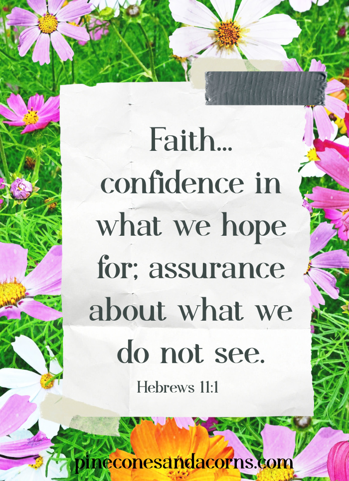 Faith:confidence in what we hope for; assurance about what we do not see." overlay on a field on pink, white and orange cosmos flowers.