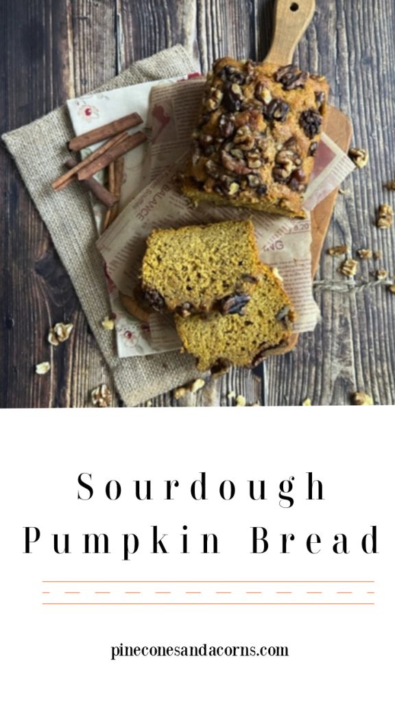 Sourdough pumpkin bread Pinterest 