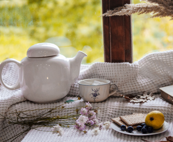 White teapot, cup of tea and cookies