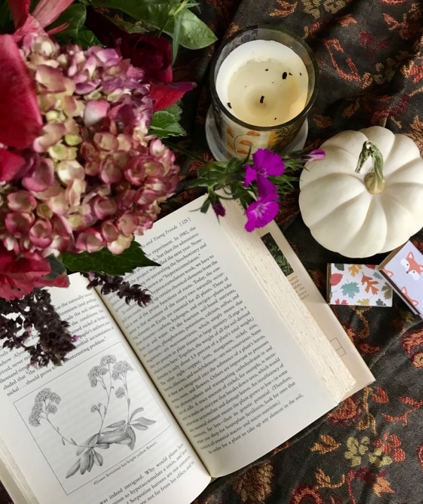 Flatlay of an open book with hydrangea and a white pumpkin, candle and 2 boxes of matches, one has fox heads and the other falling leaves.