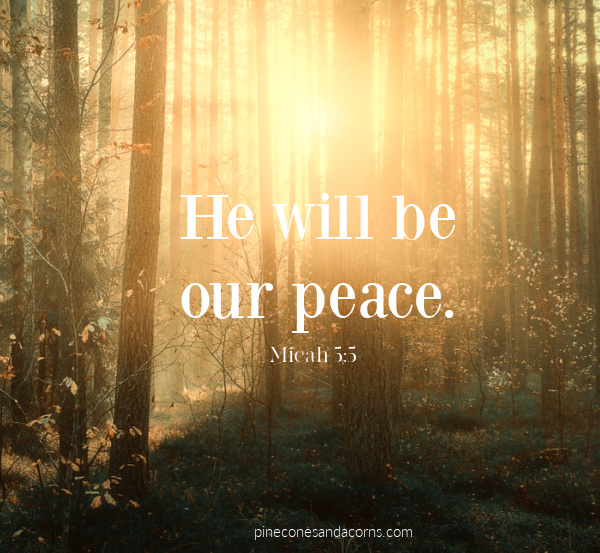 Silent Sundays He will be our peace. Micah 5:5.