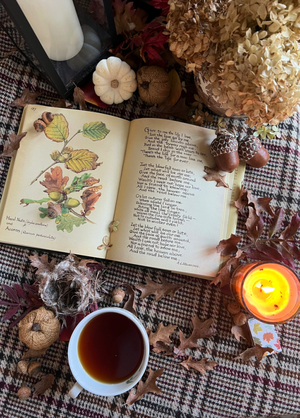 Fall Flatlay with book, acorns, leaves, books and tea.
