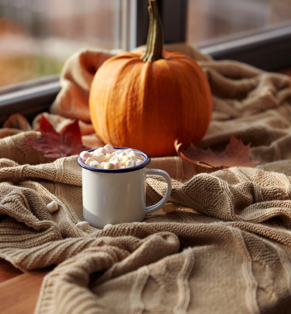 hot chocolate with marshmallows and a pumpkin on a tan throw. 
